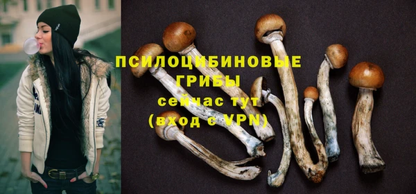 первитин Медногорск
