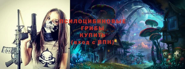 крисы Барнаул