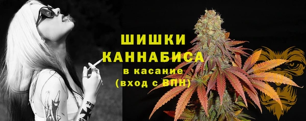 apvp Медвежьегорск